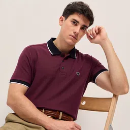 THE BEAR HOUSE Men Solid Polo Collar Cotton T-shirt-picture-17
