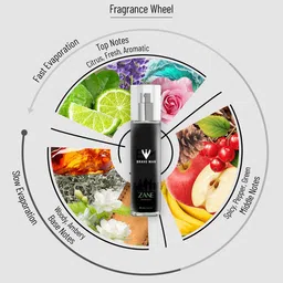 BRAVOMAN Zane Long Lasting Perfume For Men - 120 ml image 3