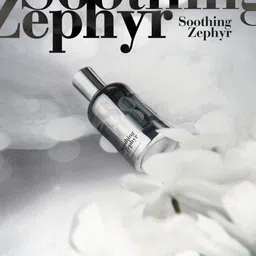 Paris Corner Perfumes Soothing Zephyr Long Lasting Eau De Parfum- 100 ml image 3