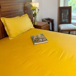 bells & whistles Yellow 100% Cotton Sateen Plain Double Solara Bedsheet with 2 Pillow Covers (Spring Summer 2025 Collection) image 2