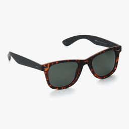 INVU Unisex Wayfarer Sunglasses-picture-12