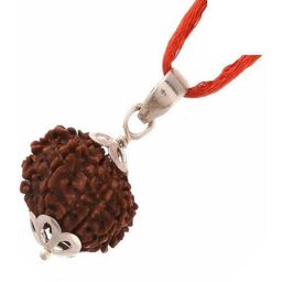 RAVIOUR LIFESTYLE Silver-Plated Spherical Pendants-picture-41