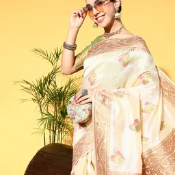 Saree mall Beige Woven Design Banarasi Saree-picture-34