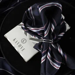 KOVOVE Men Blue & Red Striped Woven-Design Pocket Square-image-33
