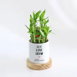Let Love Grow - 2-Layer Bamboo Plant With Pot - Personalized image 2
