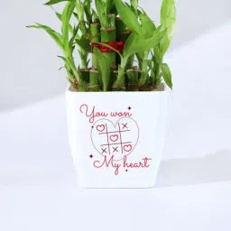 You Won My Heart - Two Layered Bamboo Plant In Pot image 2