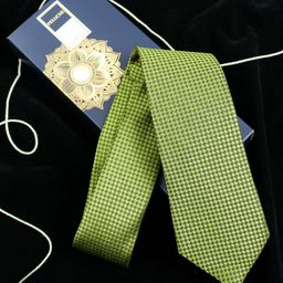 PELUCHE Men Green Checked Broad Tie-picture-37