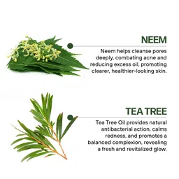 MPIL WELLNESS Neem & Tea Tree Face Wash for Acne & Pimples - 100 ml image 2