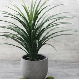 Pure Home and Living Grey Solid Round Classic Planter-picture-13
