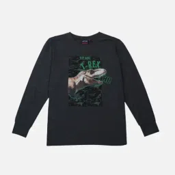 Gini & Jony Kids Grey Cotton Printed Full Sleeves T-Shirt-picture-24