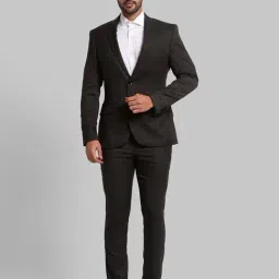 Parx Green Regular Fit Self Pattern Two Piece Suit-picture-28