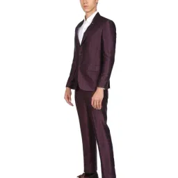 Ad By Arvind Purple Regular Fit Two Piece Suit image 3