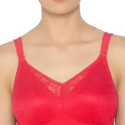 Triumph Minimizer 112 Wireless Non Padded Comfort & High Support Big Cup Bra image 4