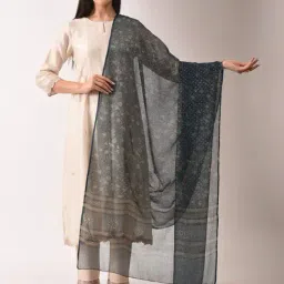 Jaypore Blue Kota Block Printed Dupatta-picture-48