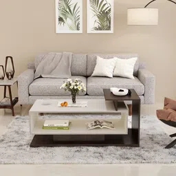 BLUEWUD Declove Engineered Wood Coffee Center Sofa Tea/Teapoy Console Table for Sofa Set Living Room Home Hall (Wenge & White) image 3
