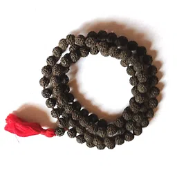 ASTRODIDI Black 5 Mukhi Rudraksha Mala for Wearing and Mantra Japa | Natural Five Face Panchmukhi Rudraksh Beads Mala for Men and Women (Beads Size 7-8 MM) image 5