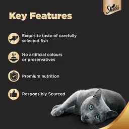 Sheba Rich Premium Adult (1+ Years) Wet Cat Food, Fish with Sasami Flavour, 35 g Pouch (Pack of 12), High-moisture wet food for healthy hydration image 3
