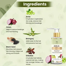 TNW-The Natural Wash Amla Shampoo for Hair Growth & Controlling Hair fall with the Goodness of Amla,Bhringraj, onion, Black Seed| No Paraben & No Sulphate| Amla Shampoo for Men and Women (200 ml) image 3