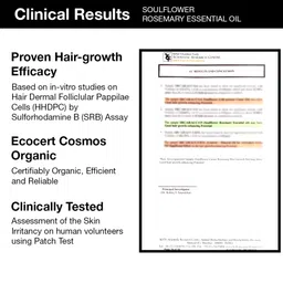Soulflower Rosemary Essential Oil for Hair Growth, Nourishment, Thick & Strong Hair, Moisturising Skin | Clinically Tested & Ecocert Certified Organic 100% Pure, Natural| Pack of 2 15ml Each image 5