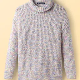 Pine Kids Knit Full Sleeves Pullover Sweater With Cable Knit Design & Turtle Neck - Multi Colour image 2