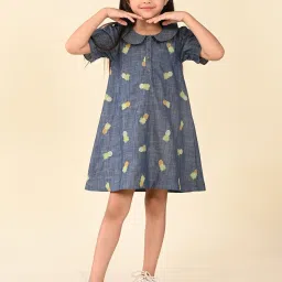 LilPicks Kids Blue Embroidered A Line Dress image 1