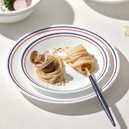 Corelle Livingware Double Ring Red-N-Blue Pack Of 6 8.5"Medium Platedouble Ring Rnb108 image 1