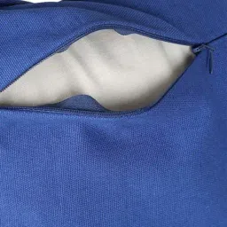 India Circus Blue Canvas Discoid Azure Duck Cushion Cover image 5