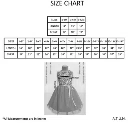 A.T.U.N. Fuchsia & Black Embroidered Dress image 4