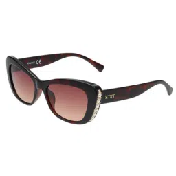 SCOTT Brown UV Protection Cat Eye Sunglasses for Women-picture-43