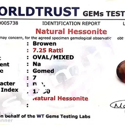 jagdamba gems Super Ashtdhatu Adjustable Gold Ring 12.25 Ratti Ceylon Hessonite Garnet Stone with Lab Certified Card & Guarantee Card {Original Certified/saloni gomed Gemstone} image 5