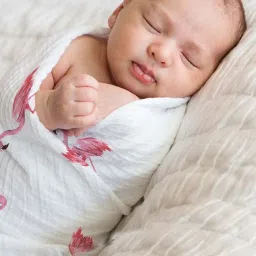 Haus & Kinder Printed Pink 40 TC Cotton New Born Swaddle Wrap - Set of 2 image 2