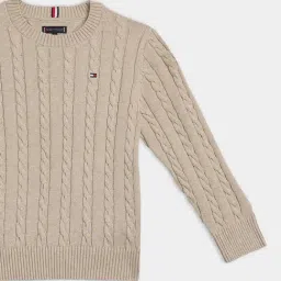 Tommy Hilfiger Beige Cotton Regular Fit Textured Sweater image 3