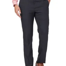 Park Avenue Blue Regular Fit Checks Trousers-image-89