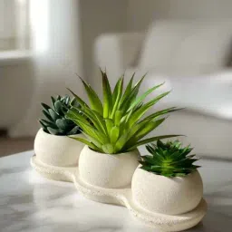 Mason Home Green Artificial Trio Succulents-picture-14