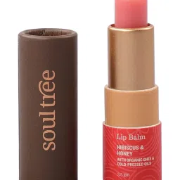 SoulTree Hibiscus & Honey with Organic Ghee & Cold Pressed Oils Ayurvedic Lip Balm - 3.5 gm image 1