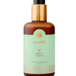 SoulTree Hibiscus Shampoo with Honey and Aloe Vera - 250 ml | Ayurvedic Shampoo image 1