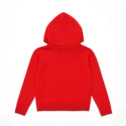 Nauti Nati Boys Red Acrylic Solid Sweater image 3