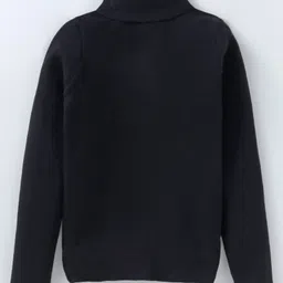 Yellow Apple Viscose Knit Full Sleeves Turtle NeckSolid Colour Winter T-Shirt - Black-picture-26