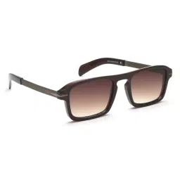IRUS By IDEE Brown Rectangular Sunglasses for Men image 1