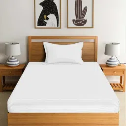 Dreamscape Stripe White 220 TC Cotton Single Bedsheet with Pillow Cover-image-31