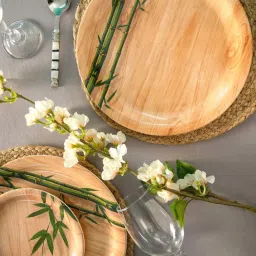 Servewell Bamboo Delite Melamine 28 cm Dinner Plates - Set of 6 image 1