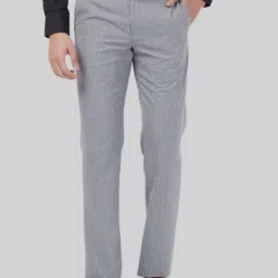 Park Avenue Grey Regular Fit Striped Trousers-picture-22