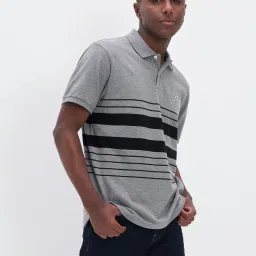 American Eagle Outfitters Grey Cotton Regular Fit Striped Polo T-Shirt image 1
