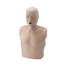 A-ONE SCIENCE PVC Prestan Adult CPR Manikin With Rate Monitor AOSBM299 image 2