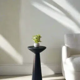 Mason Home Artesia Black Side Table-image-34