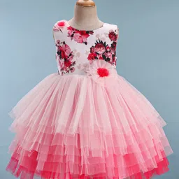 Bluebell  Sleeveless Party Frock with Floral Print & Applique - Pink-picture-11
