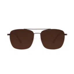 Chilli Beans OCMT31360202 Brown Aviator-image-9