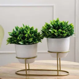 Foliyaj Multicolor Plastic Artificial Plants With Metal Holder - Set of 2 image 1