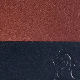 Kara Tan & Black Casual Leather Bi-Fold Wallet for Men image 5