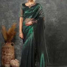 SANISA Embroidered Net Designer Saree-picture-26